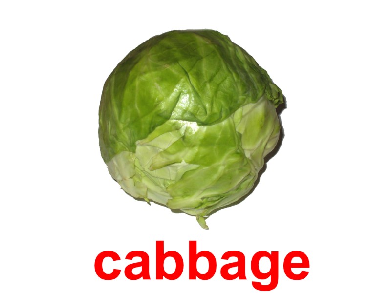 cabbage